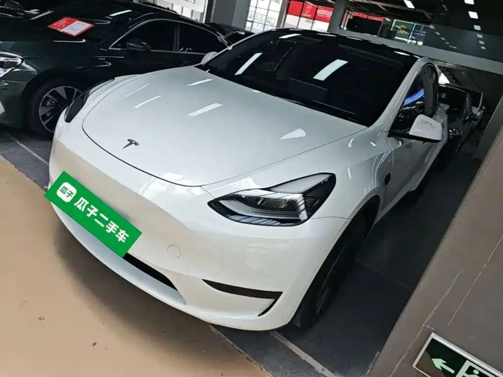 Tesla Model Y — фото 1