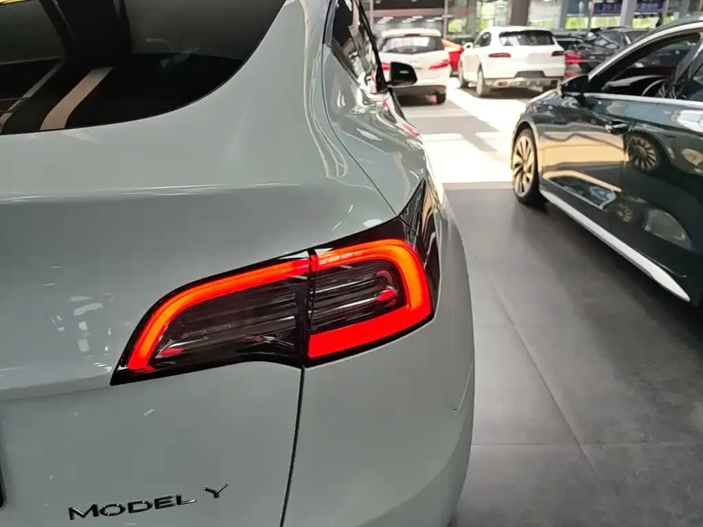 Tesla Model Y — фото 9