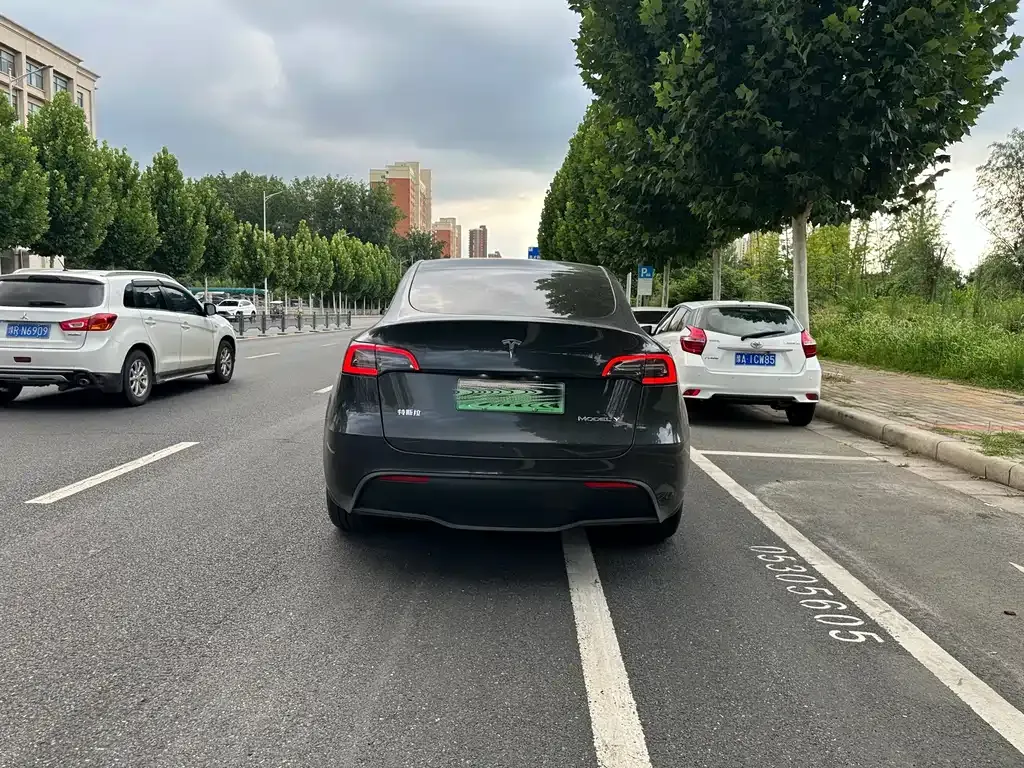 Tesla Model Y — фото 6