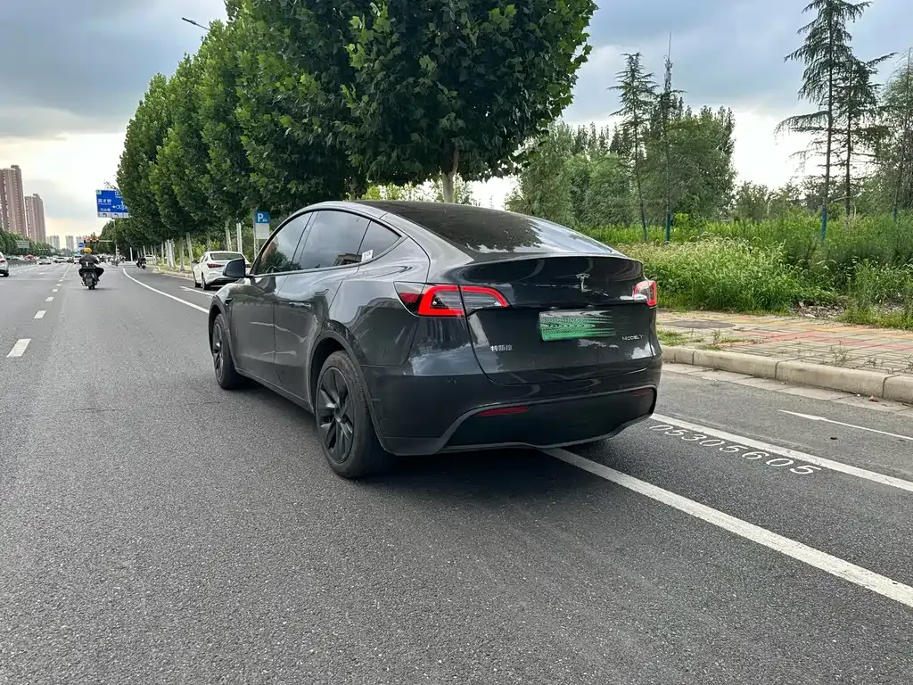 Tesla Model Y — фото 9
