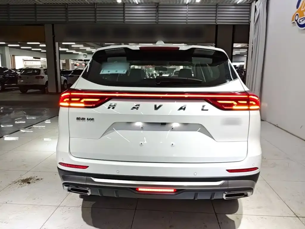 Haval H6 2024 из CN, фото 4