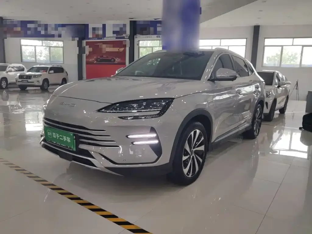 BYD PLUS New Energy — фото 9