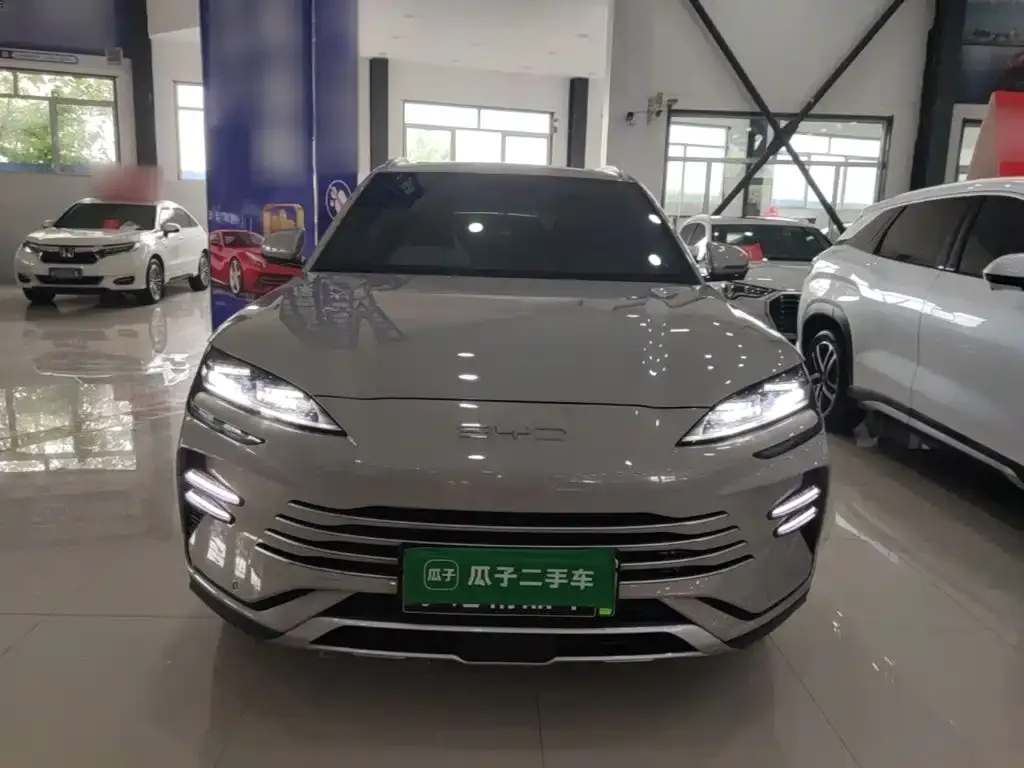 BYD PLUS New Energy — фото 2