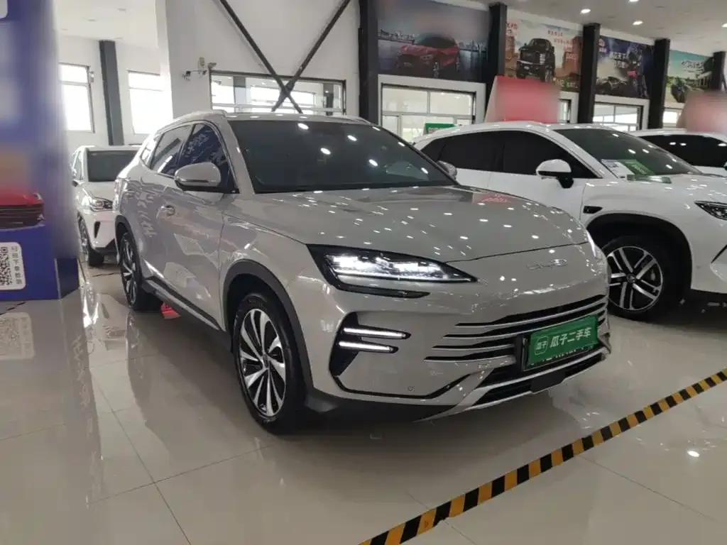 BYD PLUS New Energy — фото 6