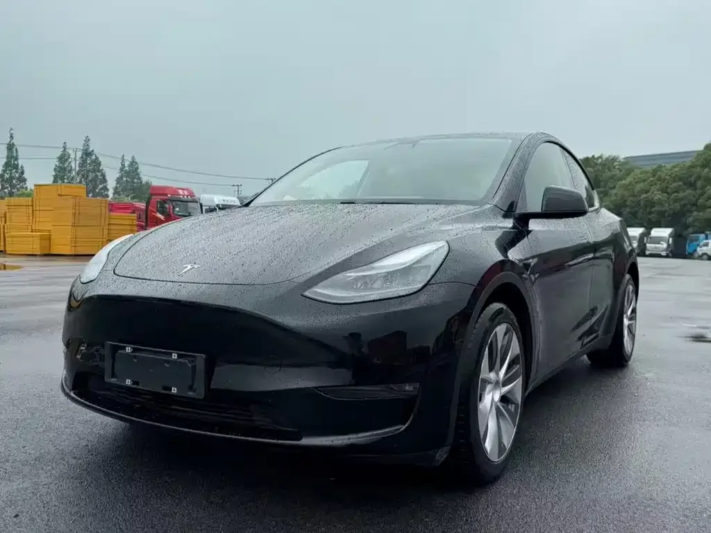 Tesla Model Y — фото 8