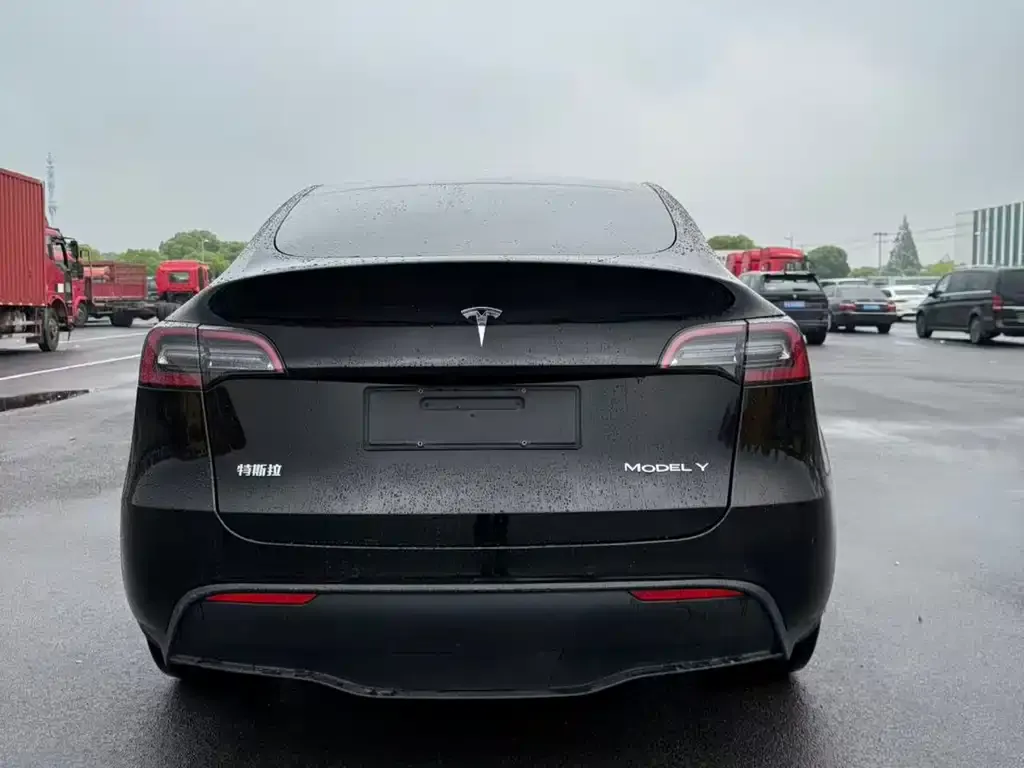 Tesla Model Y — фото 3