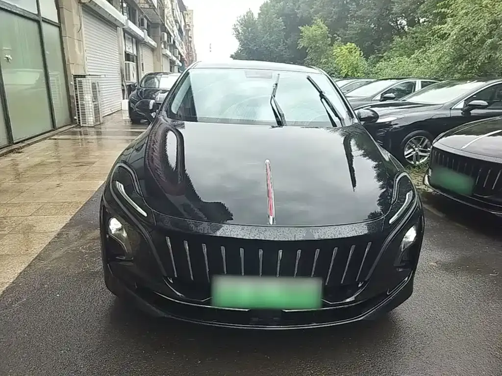 Hongqi E-QM5 — фото 8