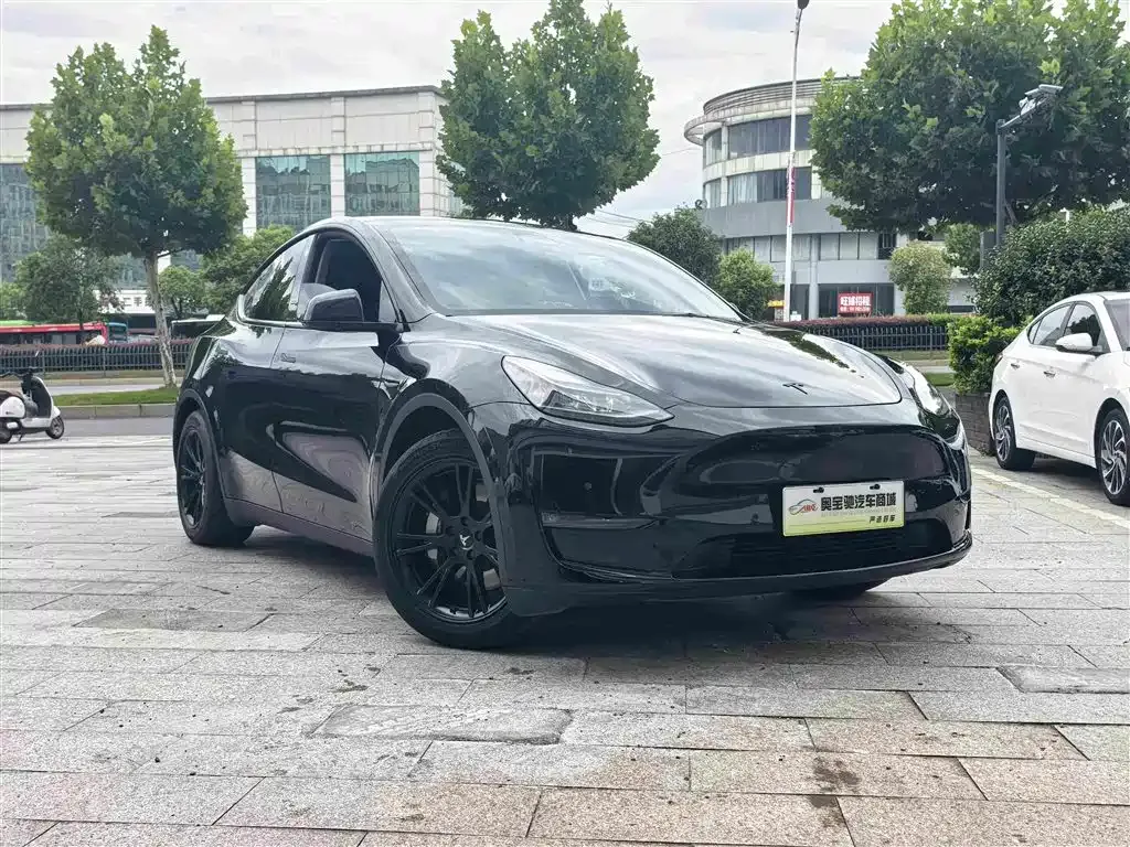Tesla Model Y — фото 10