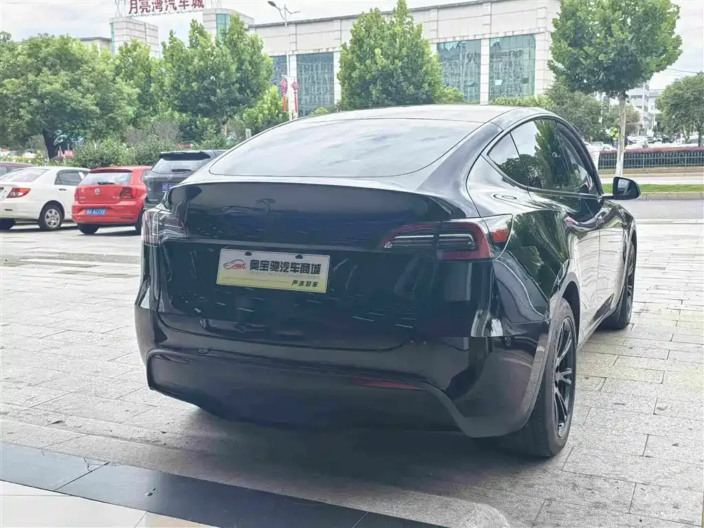 Tesla Model Y — фото 6