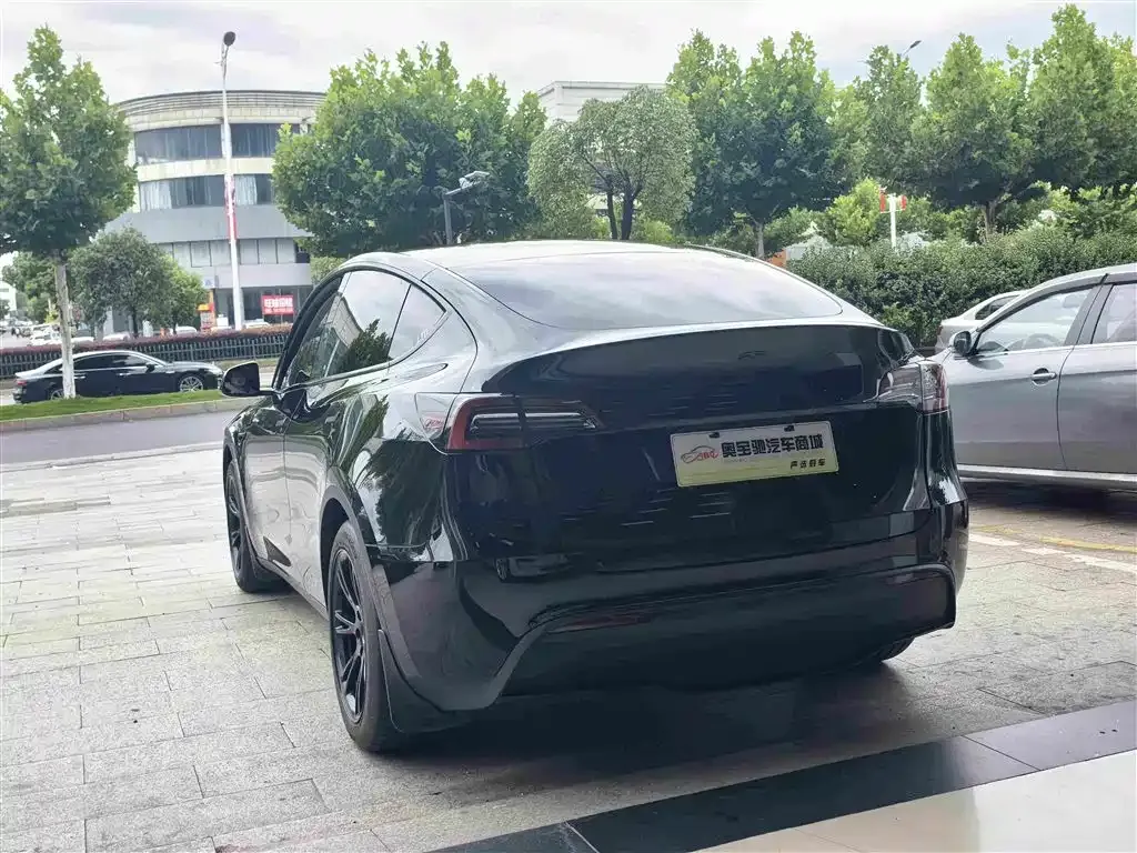 Tesla Model Y — фото 5
