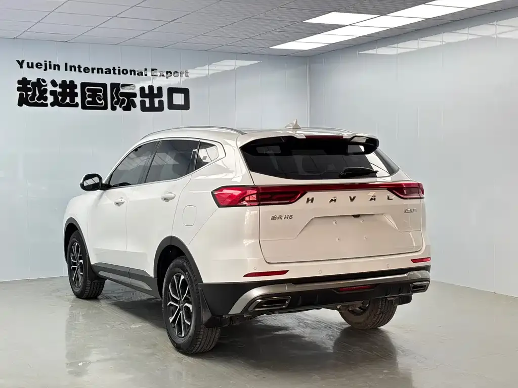 Haval H6 — фото 8