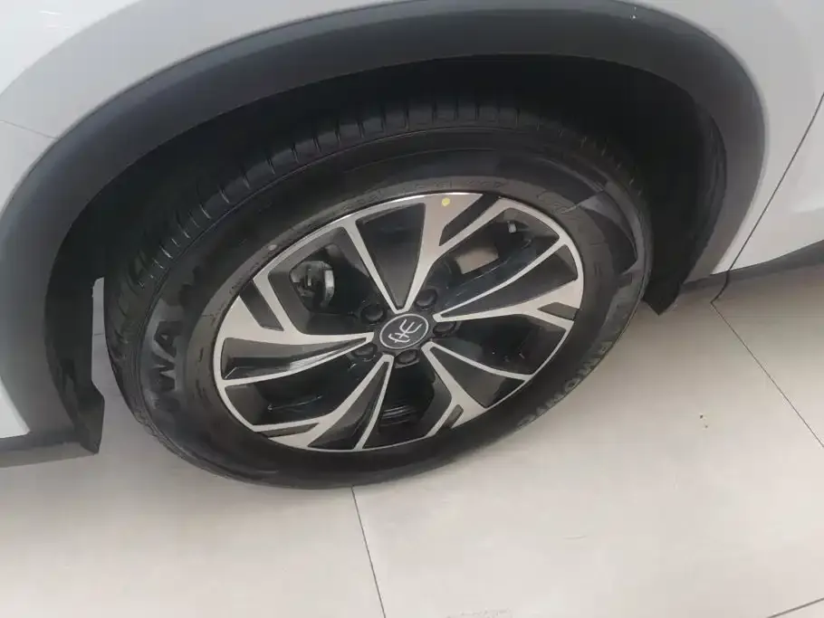 BYD Pro New Energy — фото 4