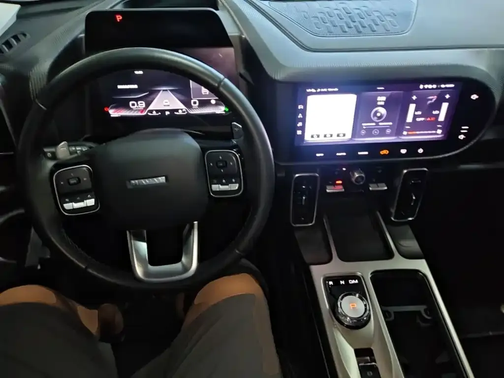 Haval Big Dog 2024 из CN, фото 7