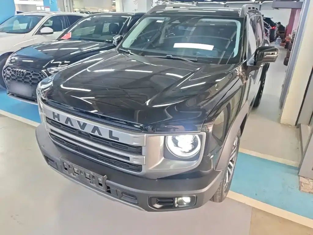 Haval Big Dog 2024 из CN, фото 4