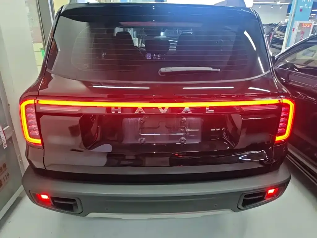 Haval Big Dog 2024 из CN, фото 9