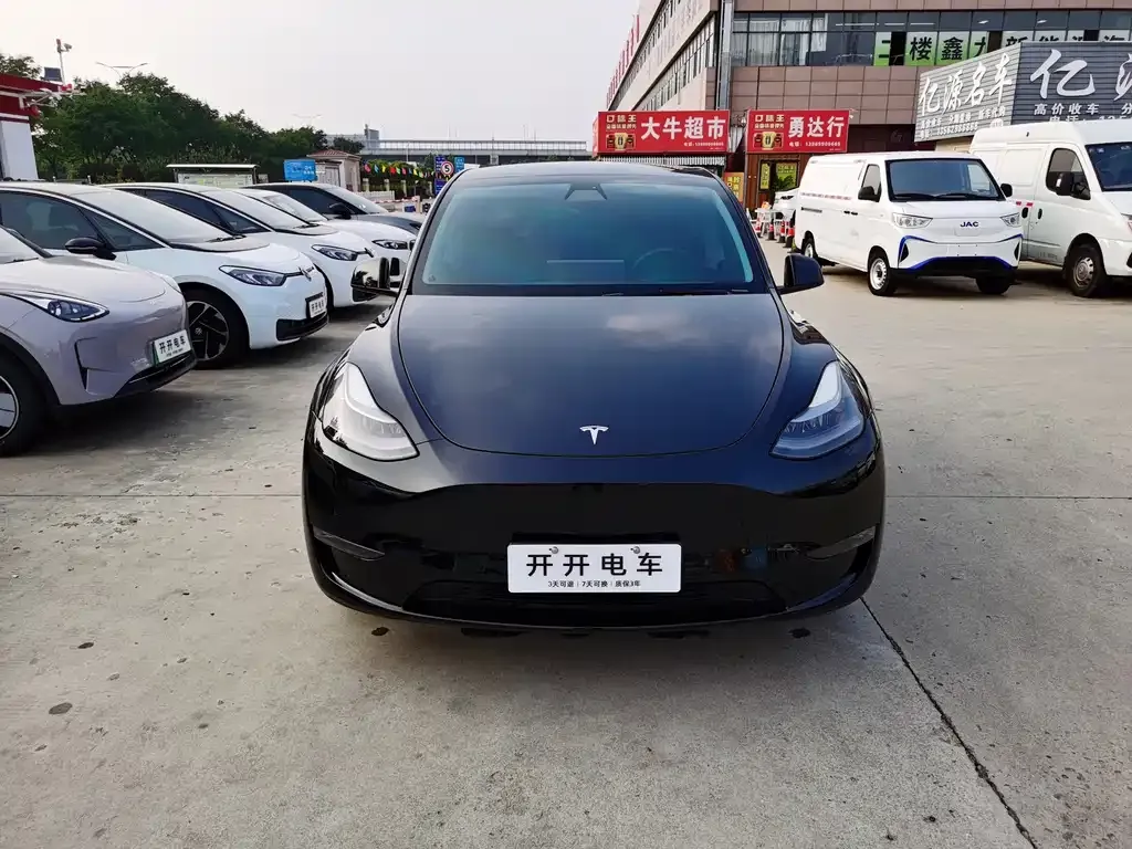 Tesla Model Y — фото 1