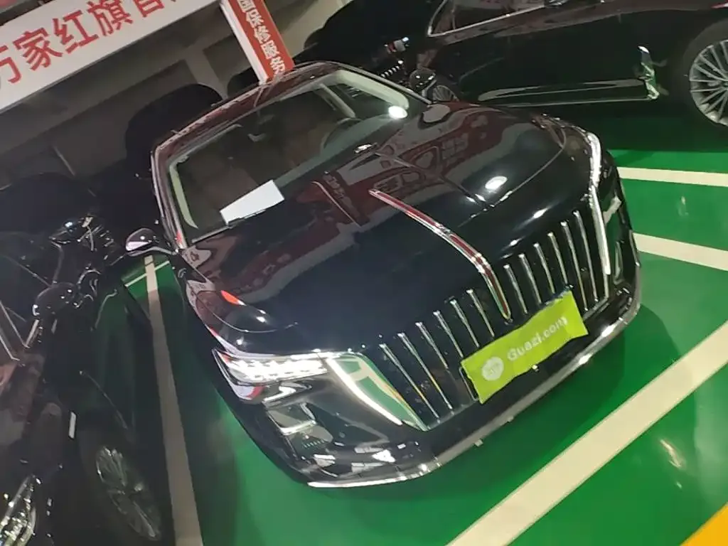 Hongqi H5 PHEV — фото 9