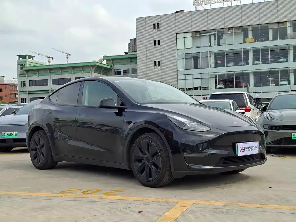 Tesla Model Y — фото 3