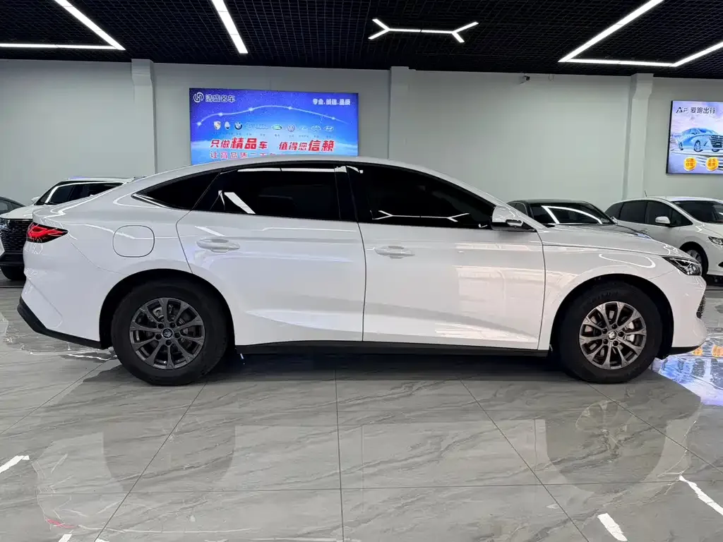 BYD Qin L — фото 3