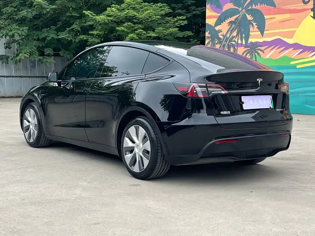 Tesla Model Y — фото 10