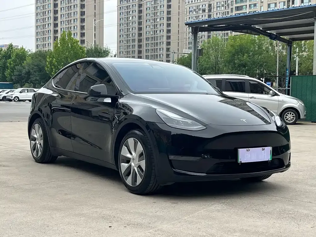 Tesla Model Y — фото 6