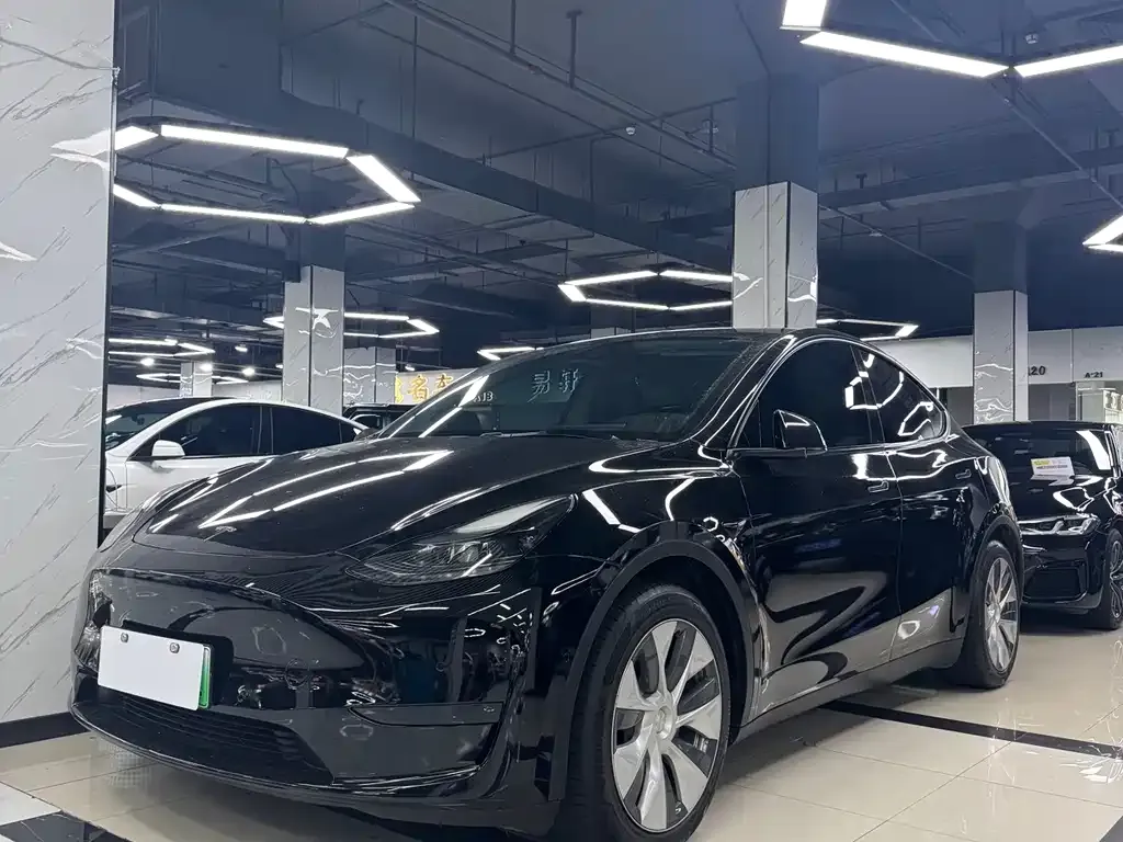 Tesla Model Y — фото 1