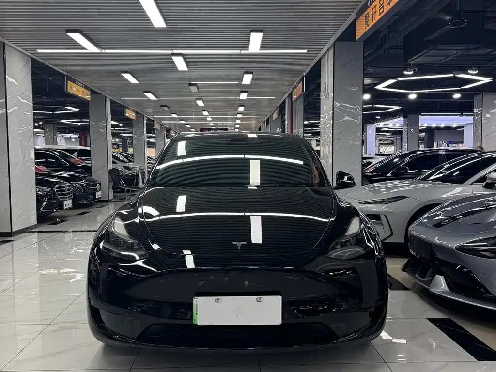 Tesla Model Y — фото 2