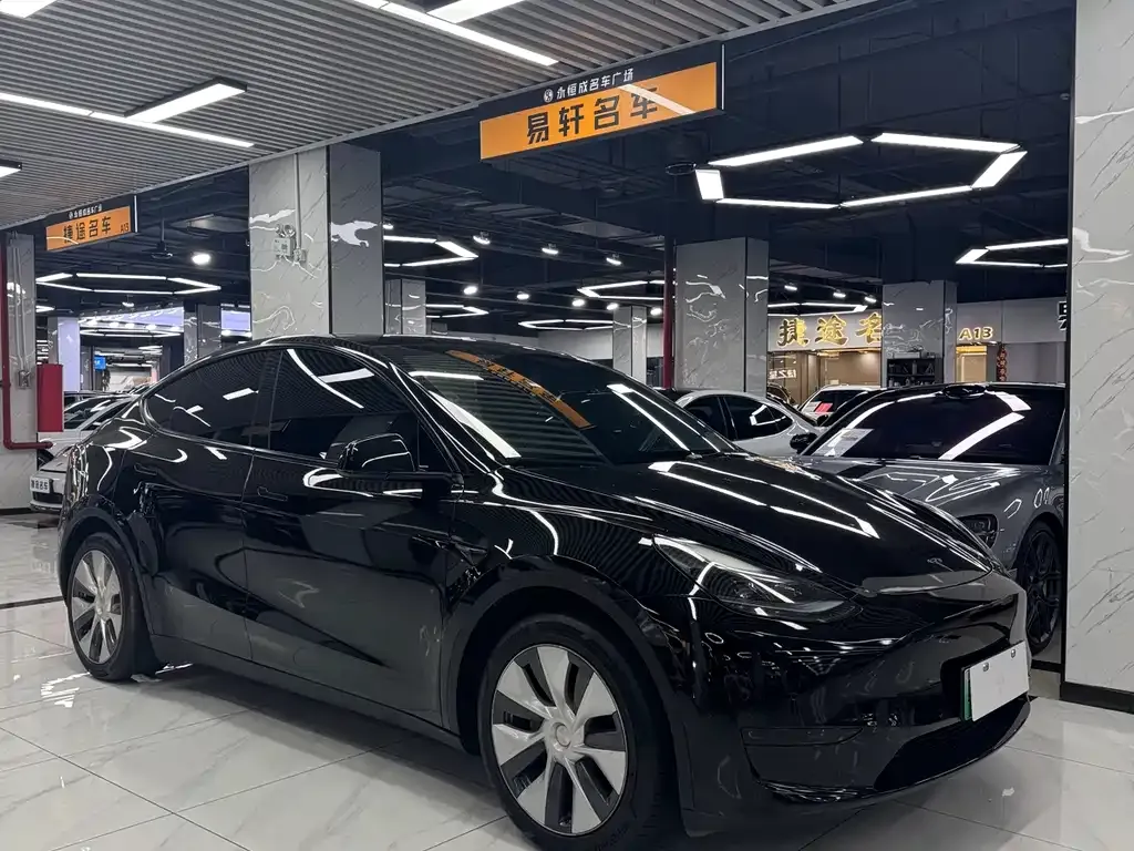 Tesla Model Y — фото 8