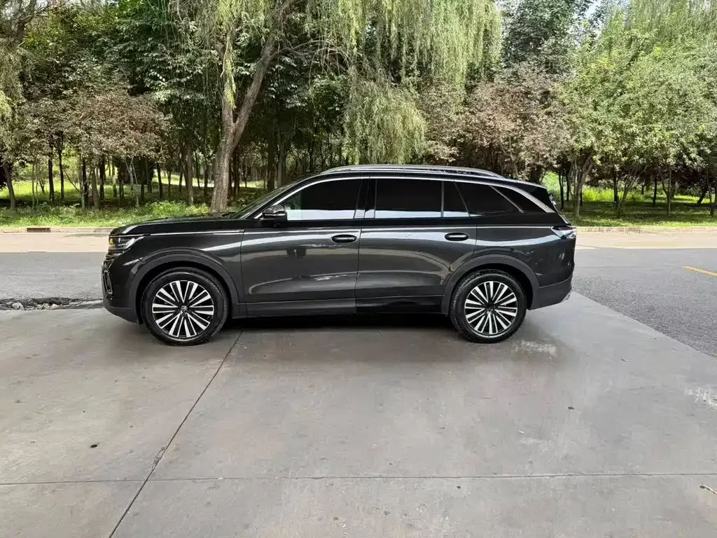 Volkswagen Tavendor 2023 из CN, фото 6