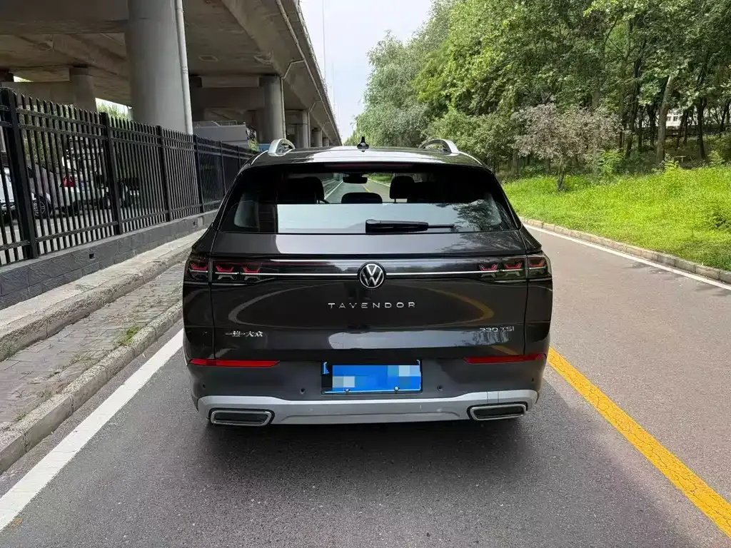Volkswagen Tavendor 2023 из CN, фото 10