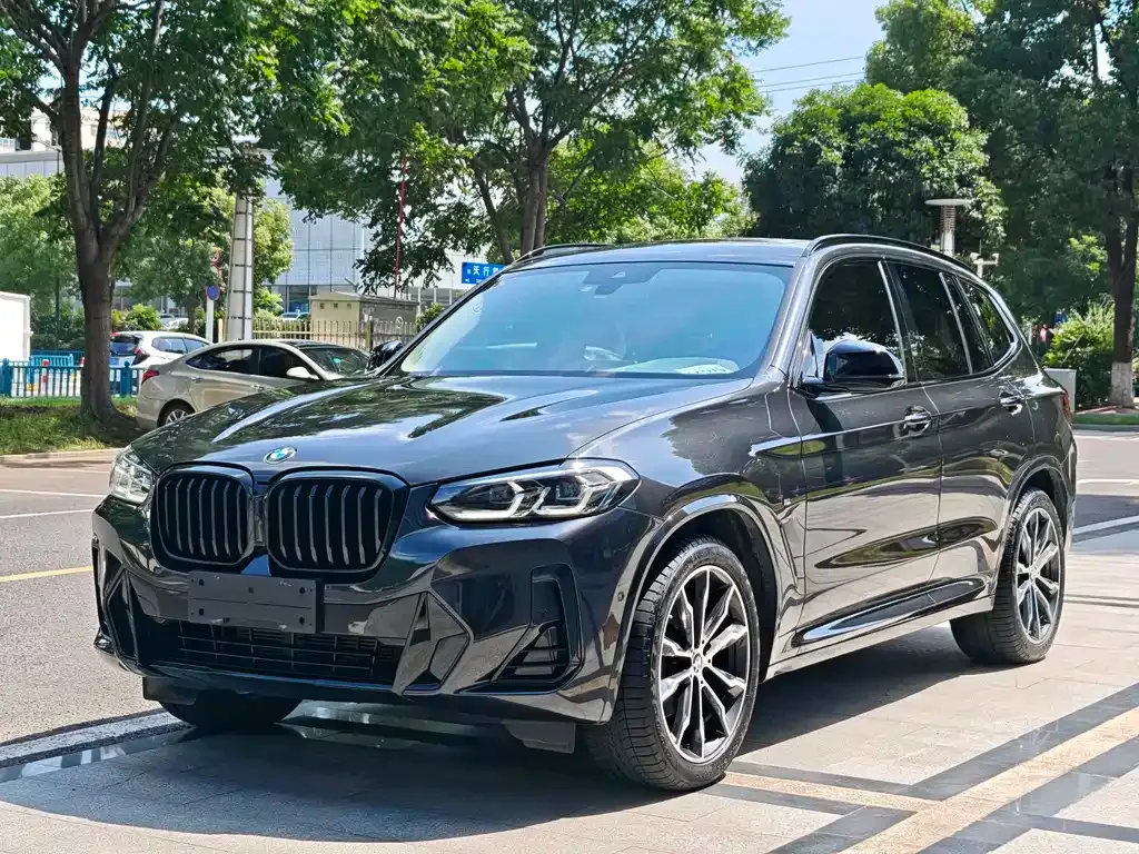 BMW X3 — фото 1