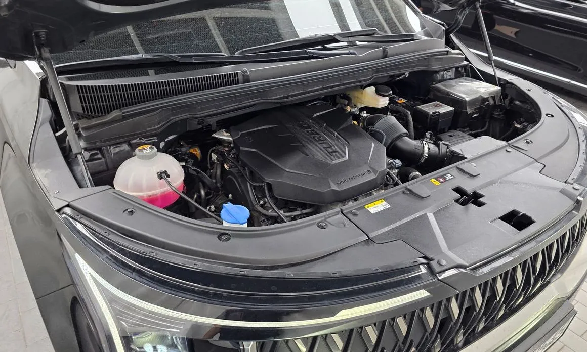 Kia Carnival — фото 10