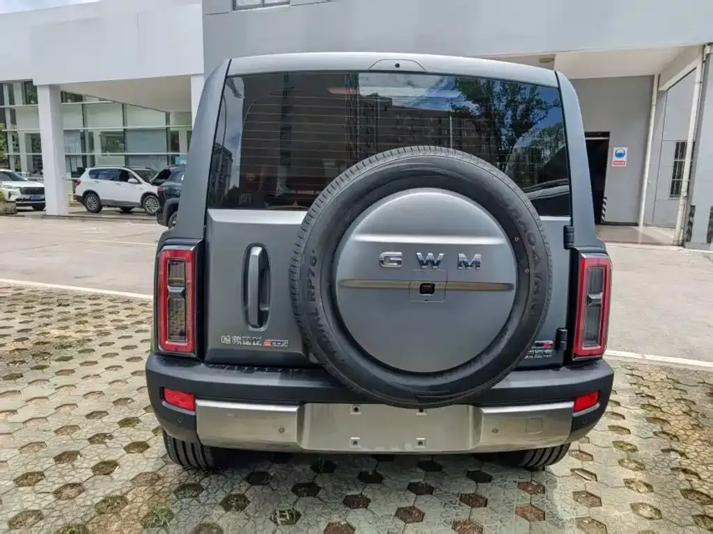 Haval 长城猛龙 PLUS — фото 9