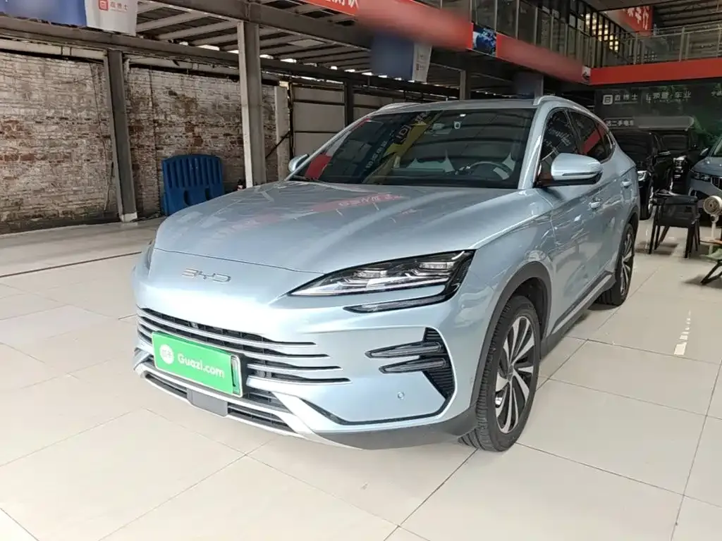 BYD PLUS New Energy — фото 10