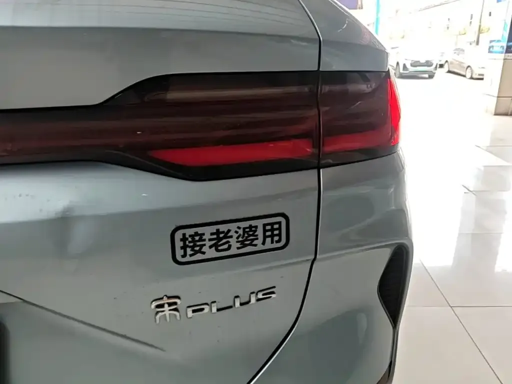 BYD PLUS New Energy — фото 2