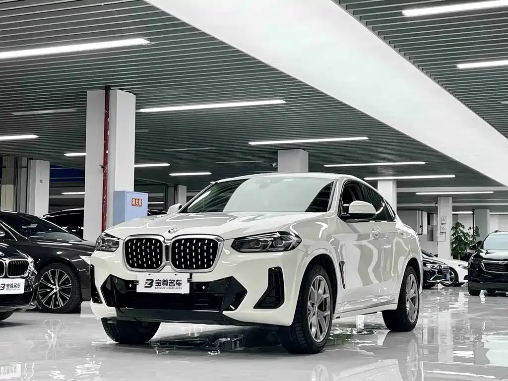 BMW X4 — фото 1
