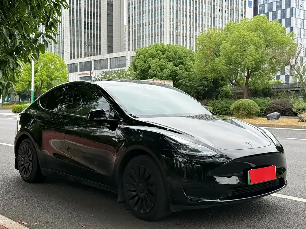 Tesla Model Y — фото 9