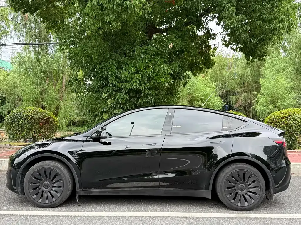 Tesla Model Y — фото 10