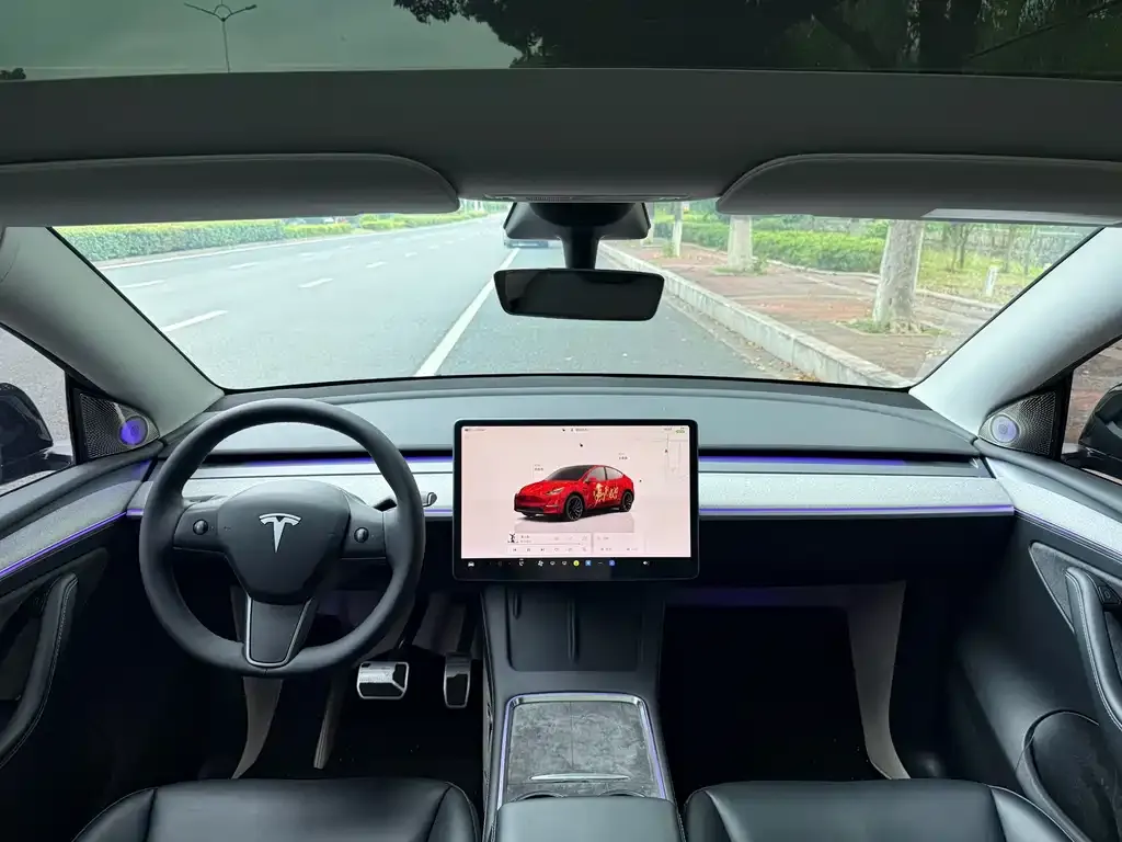 Tesla Model Y — фото 8