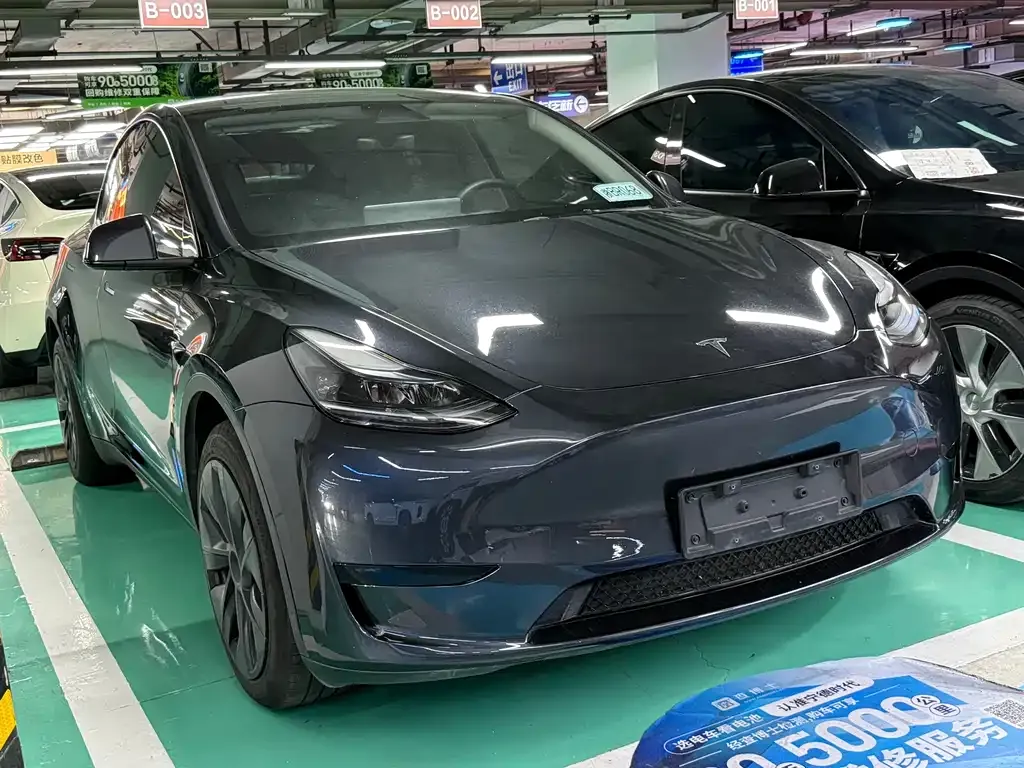 Tesla Model Y — фото 10