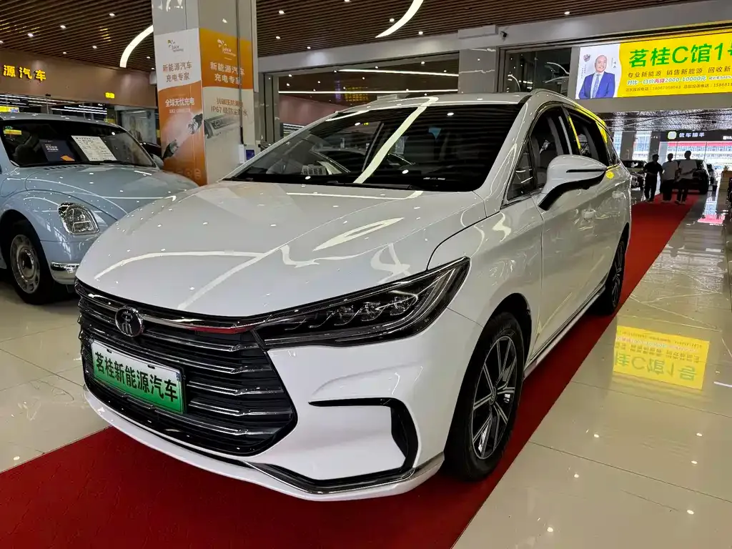 BYD MAX New Energy