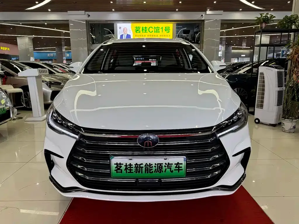 BYD MAX New Energy 2022 из CN, фото 8
