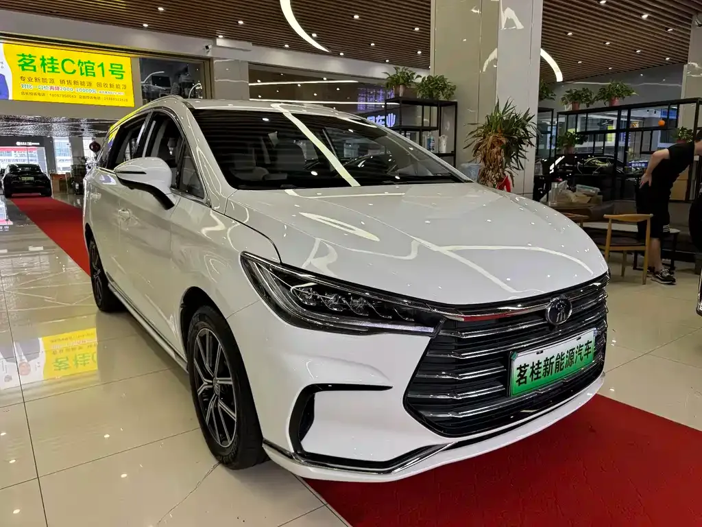 BYD MAX New Energy 2022 из CN, фото 2