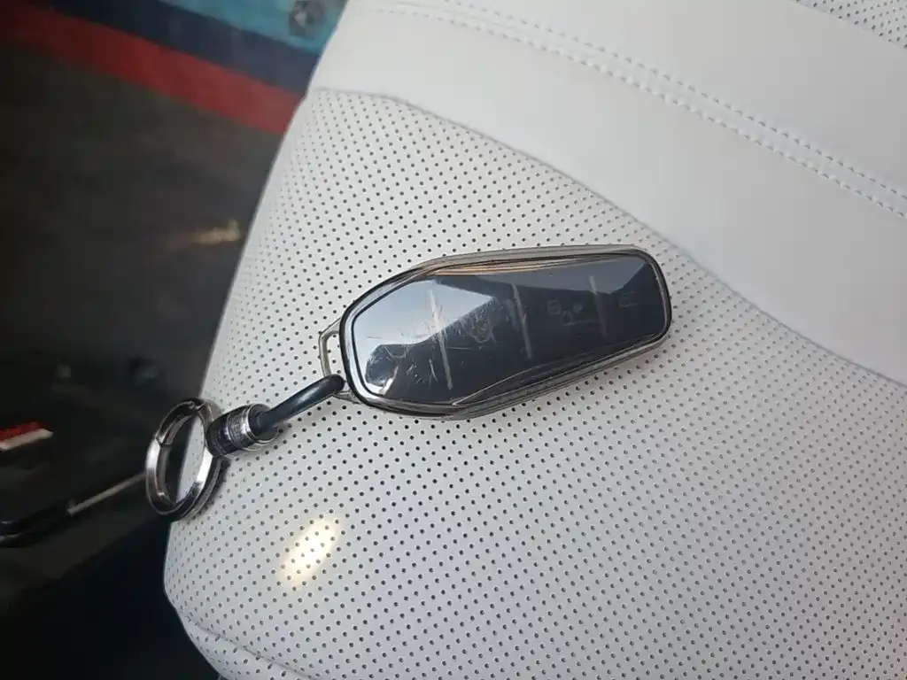 BYD PLUS New Energy — фото 6