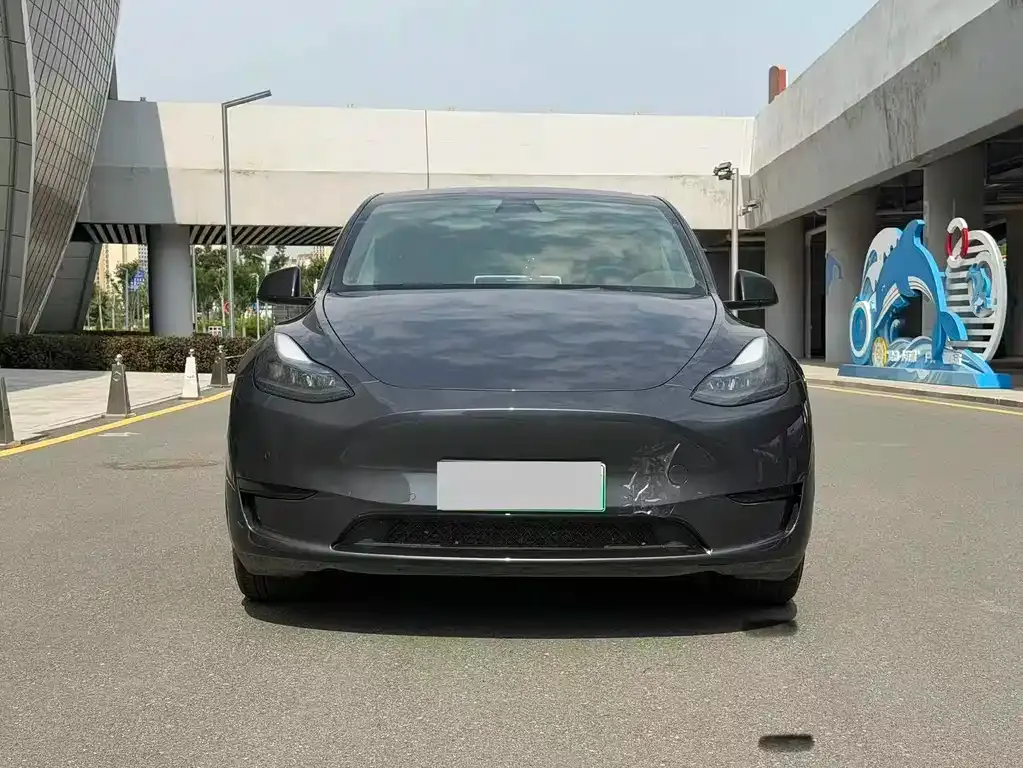 Tesla Model Y — фото 9