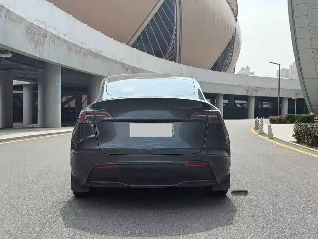 Tesla Model Y — фото 8