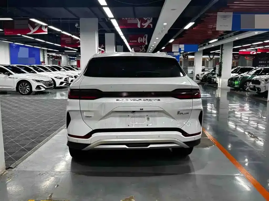 BYD PLUS New Energy — фото 3