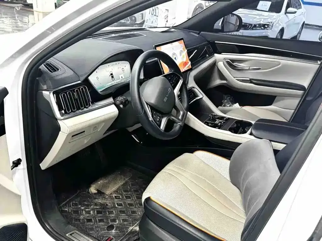 BYD PLUS New Energy — фото 4
