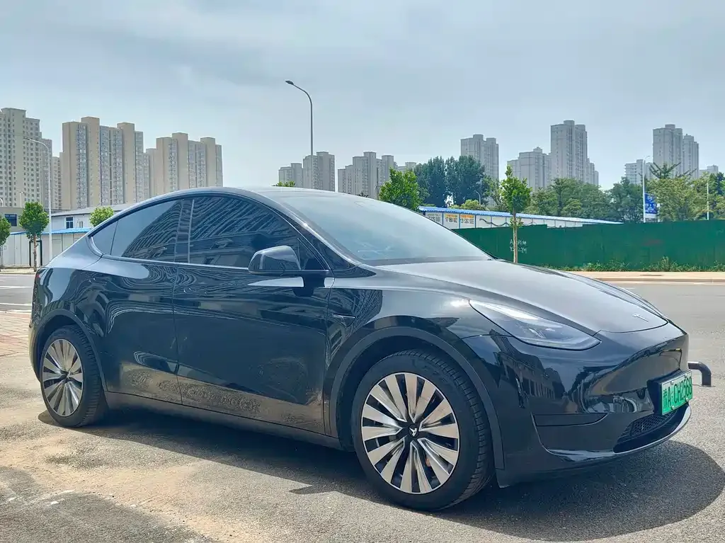 Tesla Model Y — фото 8