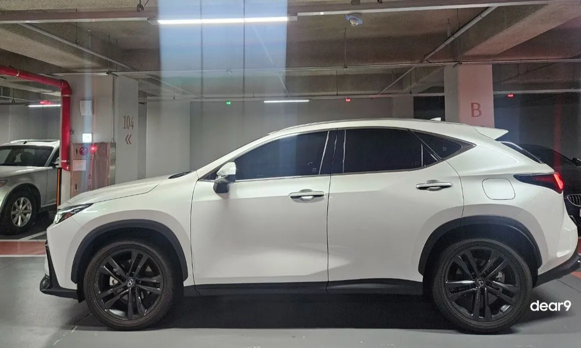 Lexus NX Premium 1
